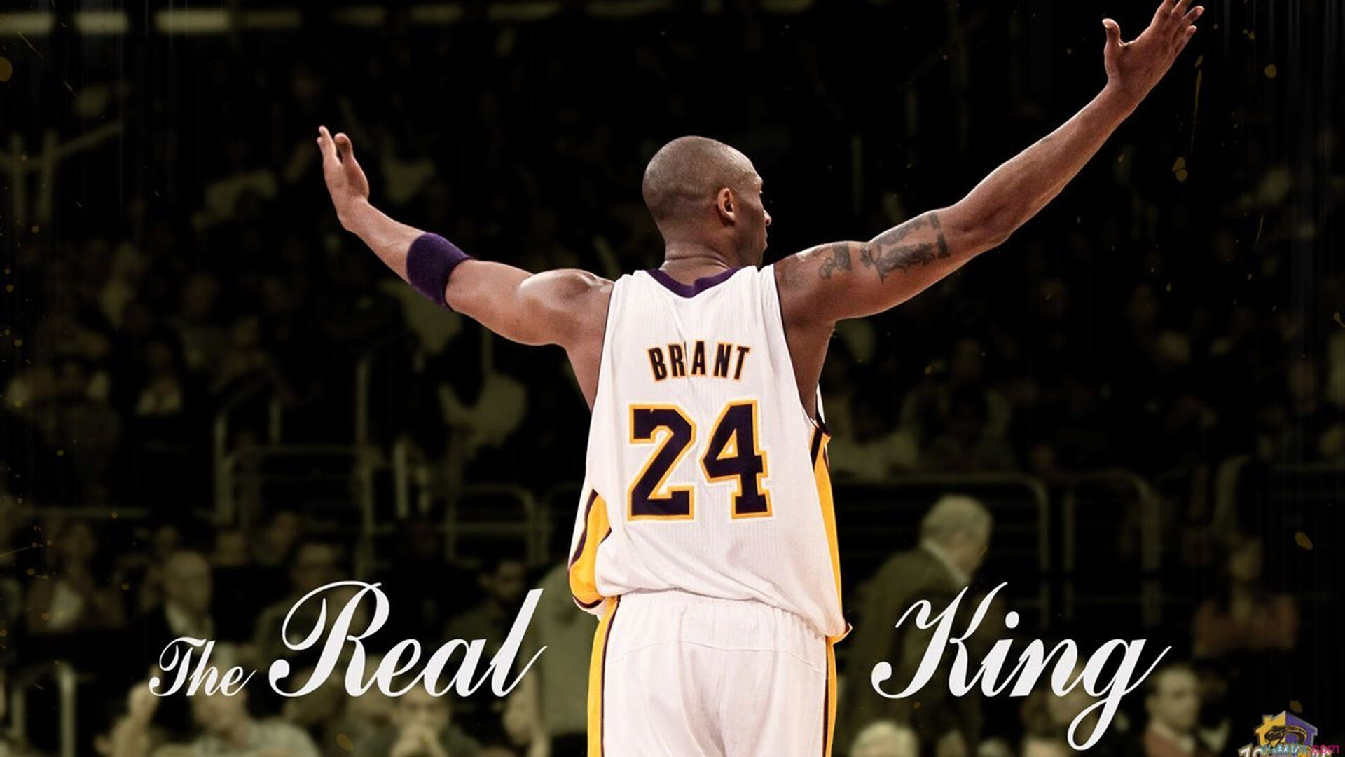 巴黎奥运会倒计时，全球健儿备战冲刺，东道主法国蓄势待发