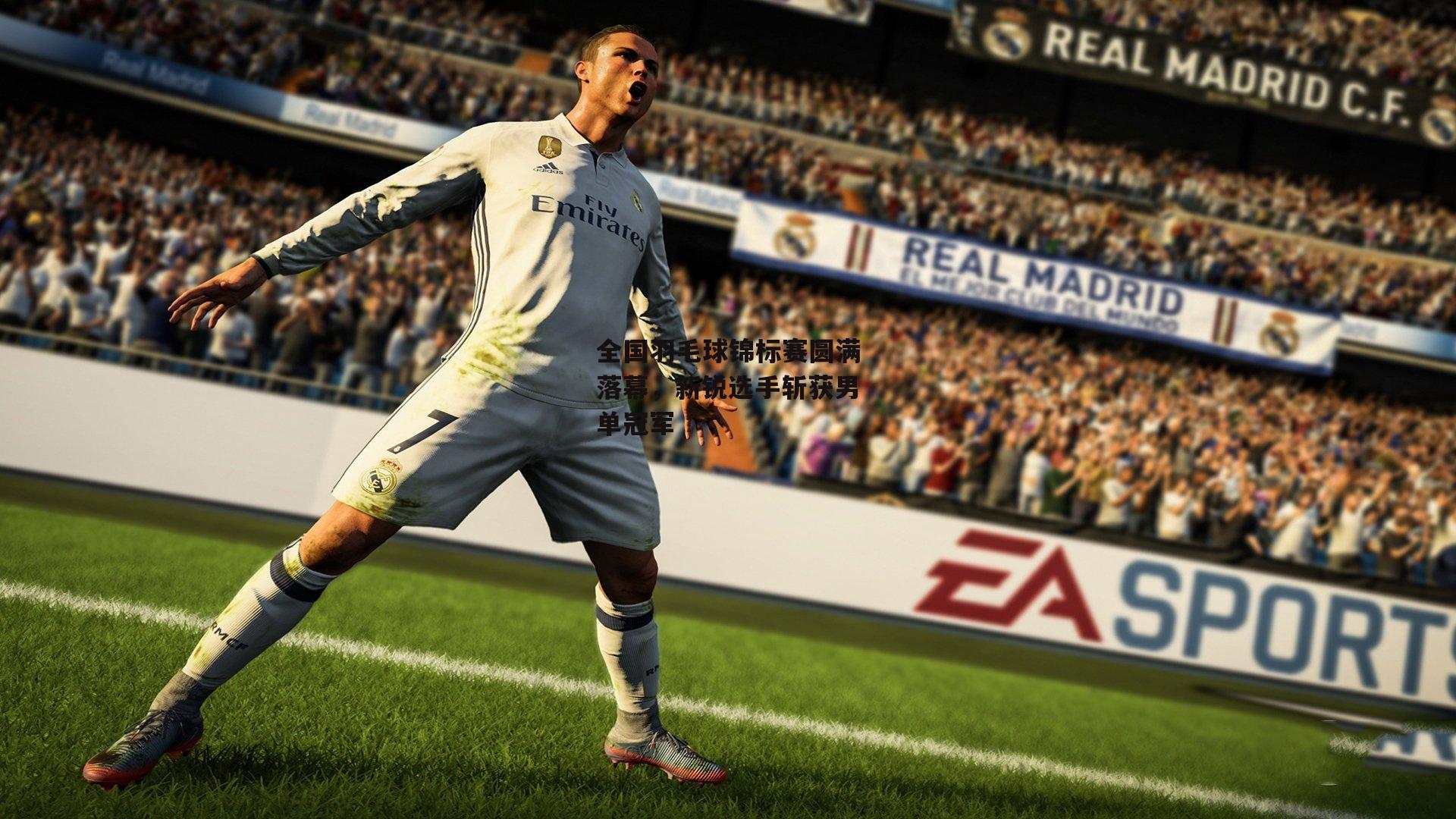 全国羽毛球锦标赛圆满落幕，新锐选手斩获男单冠军