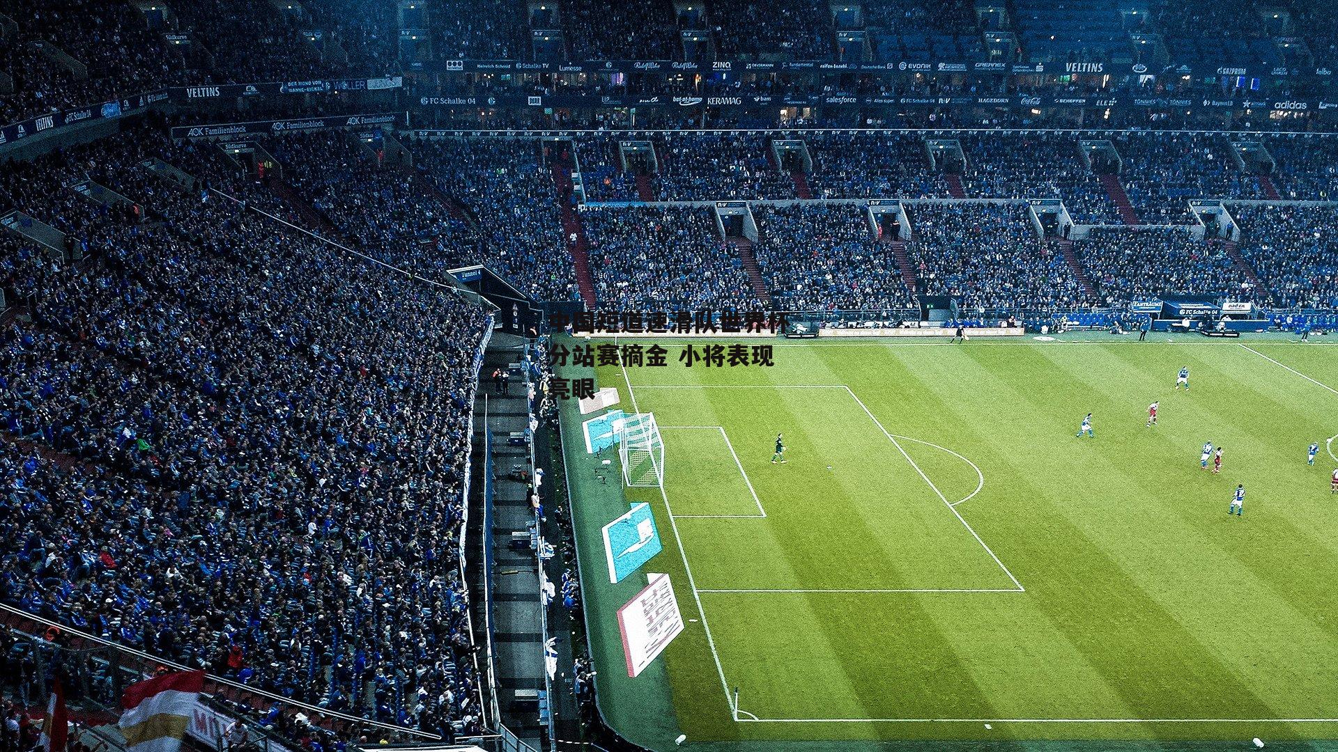 中国短道速滑队世界杯分站赛摘金 小将表现亮眼